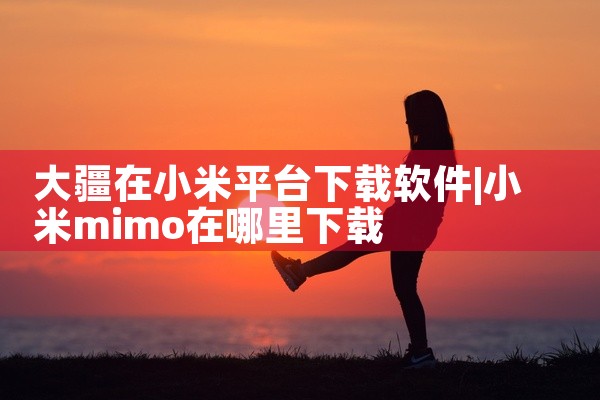 大疆在小米平台下载软件
