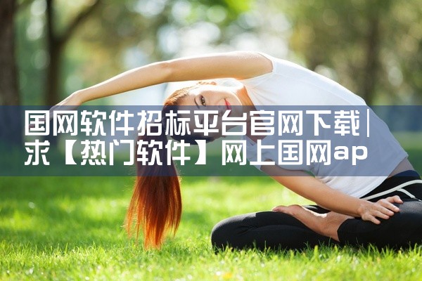 国网软件招标平台官网下载